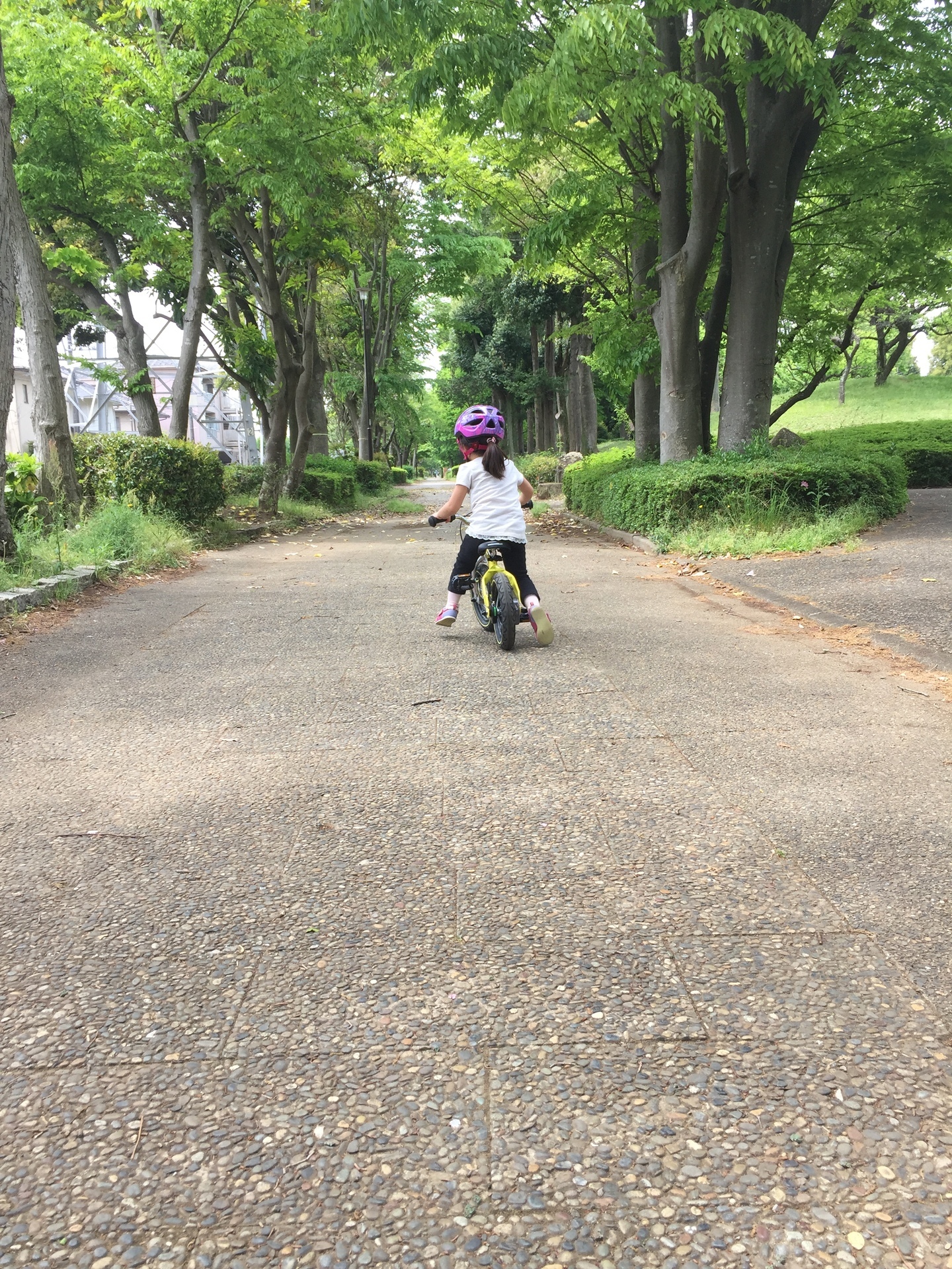 良品】Henshin Bike へんしんバイク ストライダー3歳~6歳12+